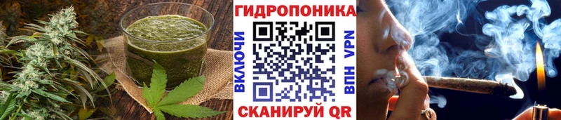 Canna-Cookies конопля  даркнет сайт  Инсар 