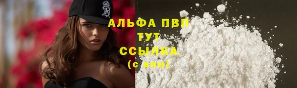 твердый Абаза