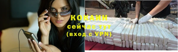 твердый Абаза